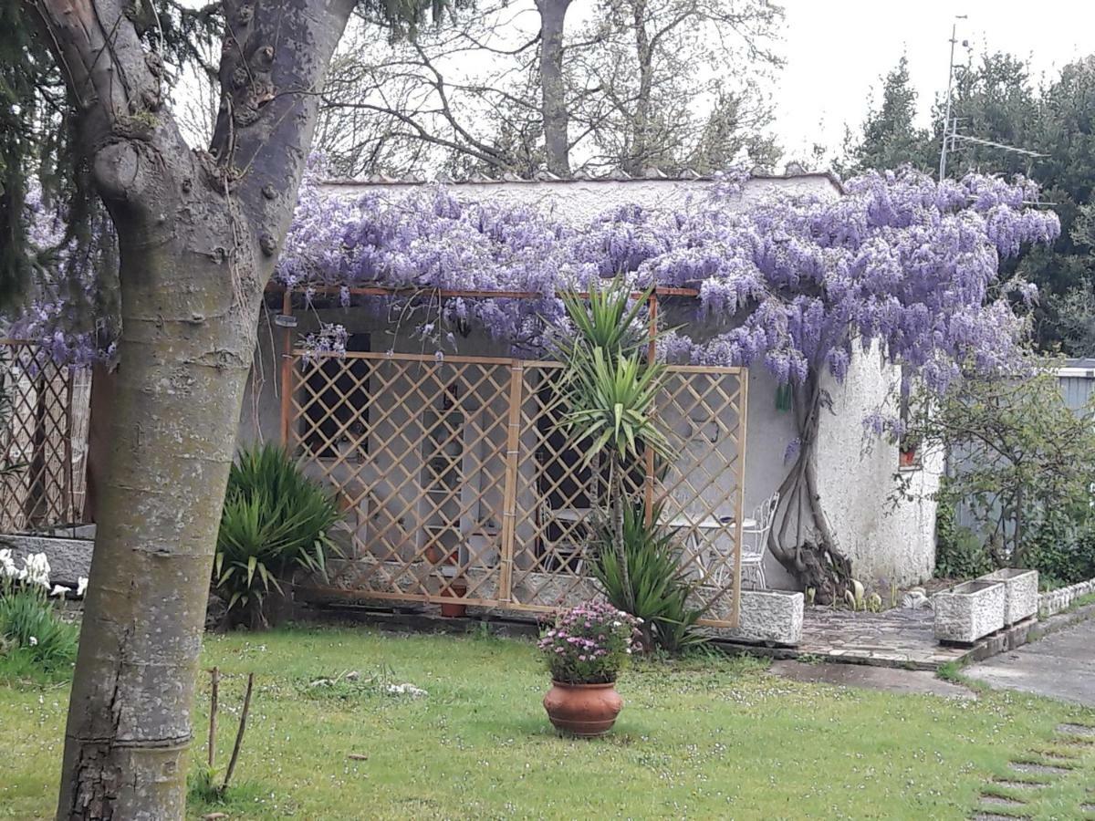 Ferienwohnung Chez Nous Velletri Exterior foto